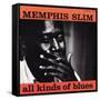 Memphis Slim - All Kinds of Blues-null-Framed Stretched Canvas