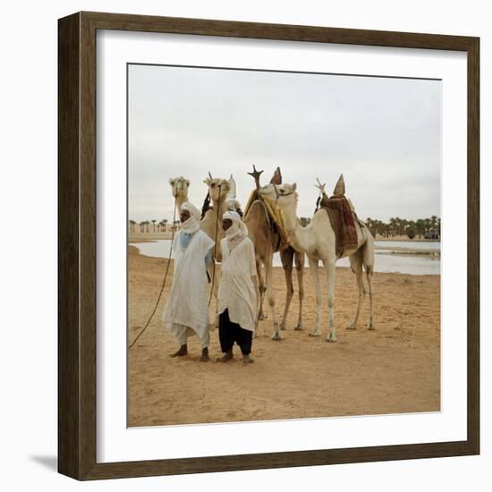 Men and Camels with Saddles, Algerian Desert-null-Framed Photo