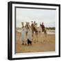 Men and Camels with Saddles, Algerian Desert-null-Framed Photo