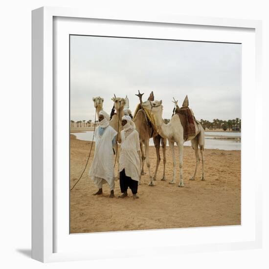 Men and Camels with Saddles, Algerian Desert-null-Framed Photo