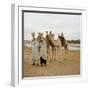 Men and Camels with Saddles, Algerian Desert-null-Framed Photo