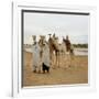 Men and Camels with Saddles, Algerian Desert-null-Framed Photo