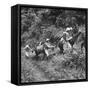 Men and Pack Animals Climbing a Steep Hill-null-Framed Stretched Canvas