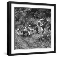 Men and Pack Animals Climbing a Steep Hill-null-Framed Photographic Print