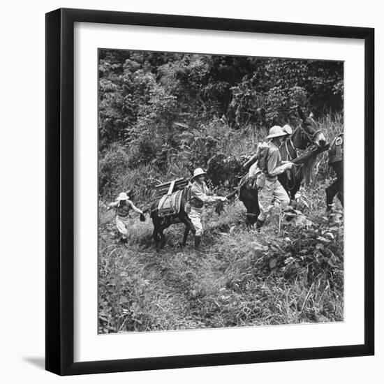 Men and Pack Animals Climbing a Steep Hill-null-Framed Photographic Print