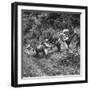 Men and Pack Animals Climbing a Steep Hill-null-Framed Photographic Print