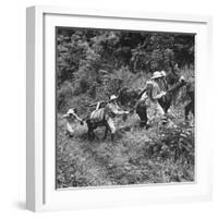 Men and Pack Animals Climbing a Steep Hill-null-Framed Photographic Print