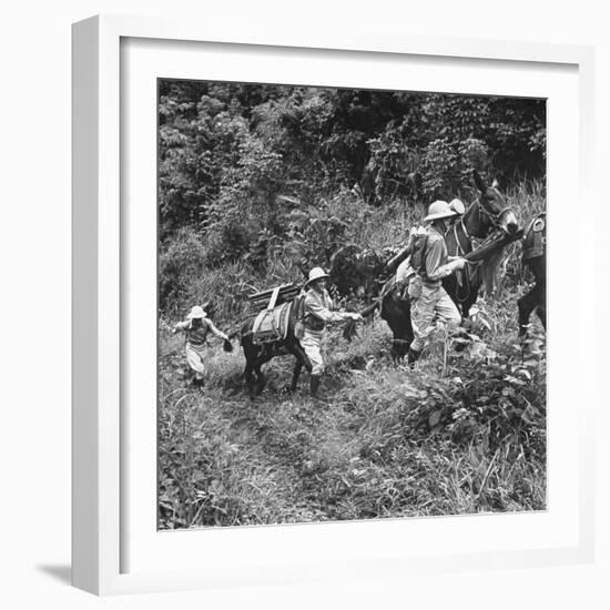 Men and Pack Animals Climbing a Steep Hill-null-Framed Photographic Print