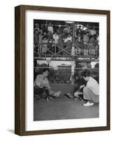 Men and their Birds Participating in Cock Fighting-null-Framed Photographic Print