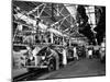 Men and Women Polishing Chevrolets on the Assembly Line at the General Motors Plant-null-Mounted Premium Photographic Print