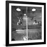 Men and Women Working Together in the Textile Factory-Carl Mydans-Framed Photographic Print