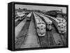 Men are Loading Up the "Santa Fe" Train with Supplies before They Take-Off-Andreas Feininger-Framed Stretched Canvas