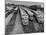 Men are Loading Up the "Santa Fe" Train with Supplies before They Take-Off-Andreas Feininger-Mounted Photographic Print