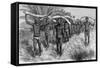 Men Bearing Elephant Tusks on Heads-null-Framed Stretched Canvas