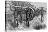 Men Bearing Elephant Tusks on Heads-null-Stretched Canvas