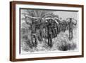 Brown Frame