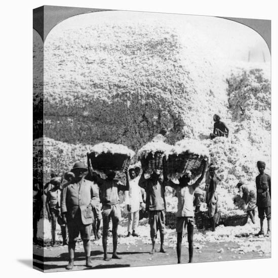 Men Carrying Baskets of Cotton at an Indore Cotton Mill, India, 1900s-null-Stretched Canvas