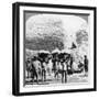 Men Carrying Baskets of Cotton at an Indore Cotton Mill, India, 1900s-null-Framed Giclee Print
