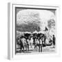 Men Carrying Baskets of Cotton at an Indore Cotton Mill, India, 1900s-null-Framed Giclee Print