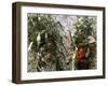 Men Carrying Corn, Cuzco, Peru, South America-Oliviero Olivieri-Framed Photographic Print