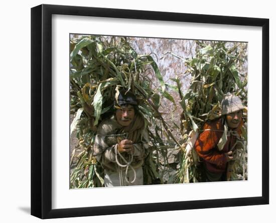 Men Carrying Corn, Cuzco, Peru, South America-Oliviero Olivieri-Framed Photographic Print