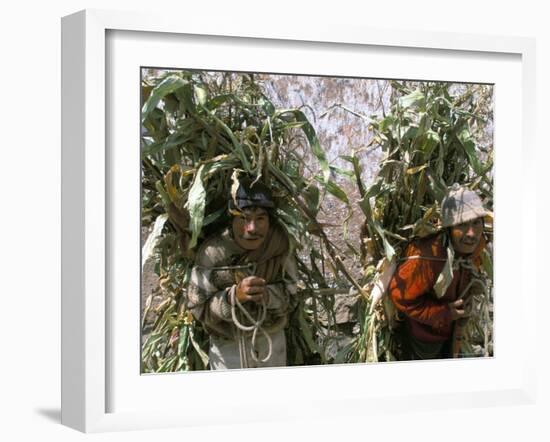 Men Carrying Corn, Cuzco, Peru, South America-Oliviero Olivieri-Framed Photographic Print