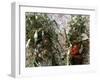 Men Carrying Corn, Cuzco, Peru, South America-Oliviero Olivieri-Framed Photographic Print