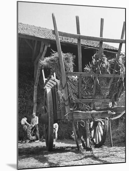 Men Constructing a Wheat Wreath Behind a Wheat Filled Wagon During the Harvest Season-Hans Wild-Mounted Photographic Print