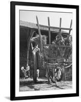 Men Constructing a Wheat Wreath Behind a Wheat Filled Wagon During the Harvest Season-Hans Wild-Framed Photographic Print