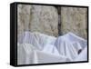 Men Covered with White Prayer Shawls Receiving the Blessing of the Cohens, Western Wall, Israel-Eitan Simanor-Framed Stretched Canvas