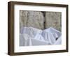 Men Covered with White Prayer Shawls Receiving the Blessing of the Cohens, Western Wall, Israel-Eitan Simanor-Framed Photographic Print