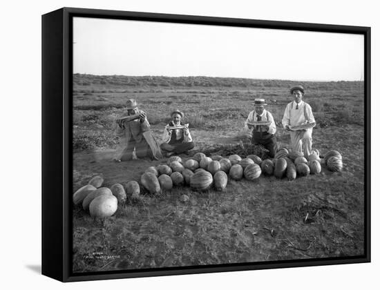 Men Eating Watermelon in Field Near Moses Lake, WA, 1911-Ashael Curtis-Framed Stretched Canvas