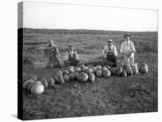 Men Eating Watermelon in Field Near Moses Lake, WA, 1911-Ashael Curtis-Stretched Canvas