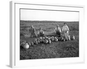 Men Eating Watermelon in Field Near Moses Lake, WA, 1911-Ashael Curtis-Framed Giclee Print