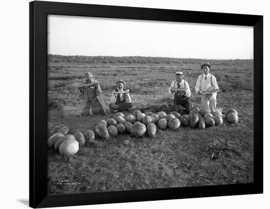 Men Eating Watermelon in Field Near Moses Lake, WA, 1911-Ashael Curtis-Framed Giclee Print