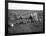 Men Eating Watermelon in Field Near Moses Lake, WA, 1911-Ashael Curtis-Framed Giclee Print