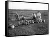 Men Eating Watermelon in Field Near Moses Lake, WA, 1911-Ashael Curtis-Framed Stretched Canvas