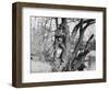 Men Fishing on a River-null-Framed Photographic Print
