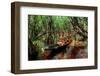 Men from the Yanomami tribe in a canoe, southern Venezuela-Michael Runkel-Framed Photographic Print