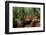 Men from the Yanomami tribe in a canoe, southern Venezuela-Michael Runkel-Framed Photographic Print