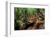 Men from the Yanomami tribe in a canoe, southern Venezuela-Michael Runkel-Framed Photographic Print