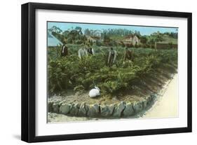 Men In Artichoke Field with Rabbit-null-Framed Art Print