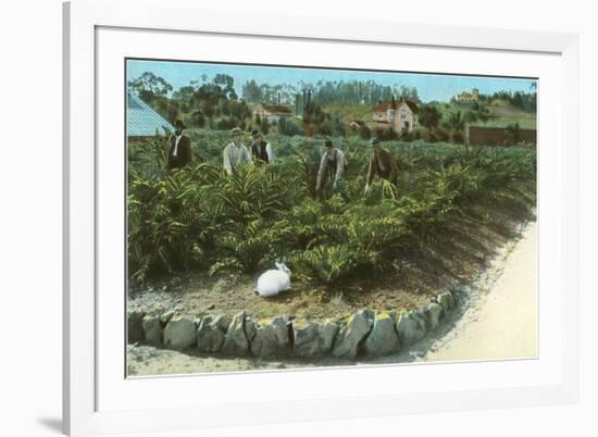 Men In Artichoke Field with Rabbit-null-Framed Premium Giclee Print