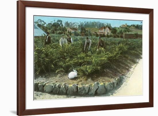 Men In Artichoke Field with Rabbit-null-Framed Premium Giclee Print