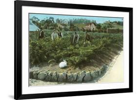 Men In Artichoke Field with Rabbit-null-Framed Premium Giclee Print