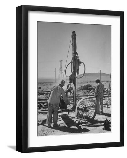 Photographic Print, , large