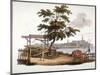 Men Moving Timber at Bankside, Southwark, London, C1810-William Pickett-Mounted Giclee Print