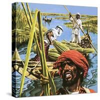 Men of the Marshes of Southern Iraq-Payne-Stretched Canvas