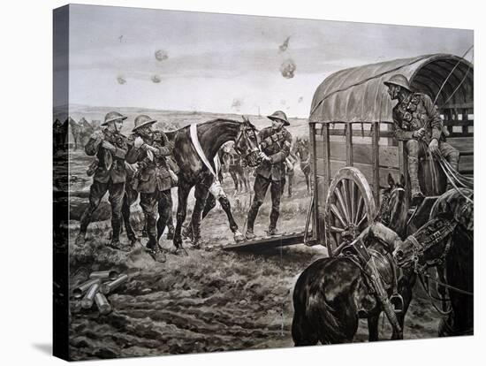 Men of the Mounted Section of the Canadian Veterinary Corps Collecting Wounded Horses in the…-Richard Caton Woodville-Stretched Canvas