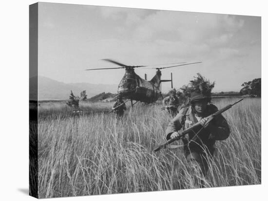 Men of the Us Army 25th Infantry Division During Jungle Training-Nat Farbman-Stretched Canvas